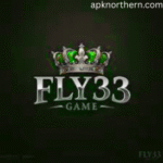 Fly 33 game
