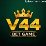 V44 Bet Game